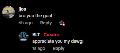 YouTube comment: bro you the goat